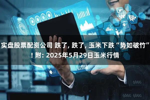 实盘股票配资公司 跌了, 跌了, 玉米下跌“势如破竹”! 附: 2025年5月29日玉米行情
