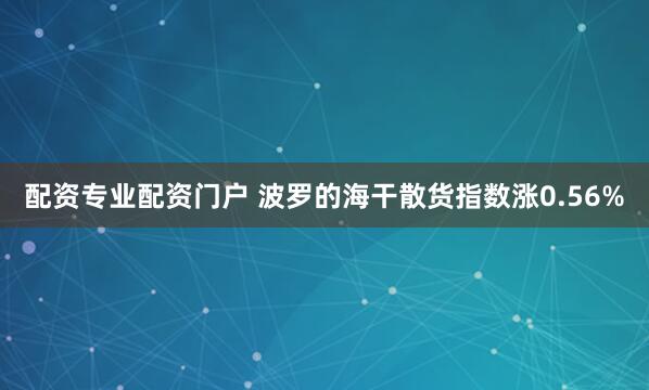 配资专业配资门户 波罗的海干散货指数涨0.56%