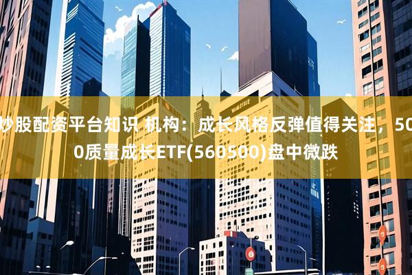 炒股配资平台知识 机构：成长风格反弹值得关注，500质量成长ETF(560500)盘中微跌