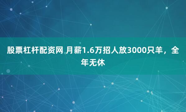 股票杠杆配资网 月薪1.6万招人放3000只羊，全年无休